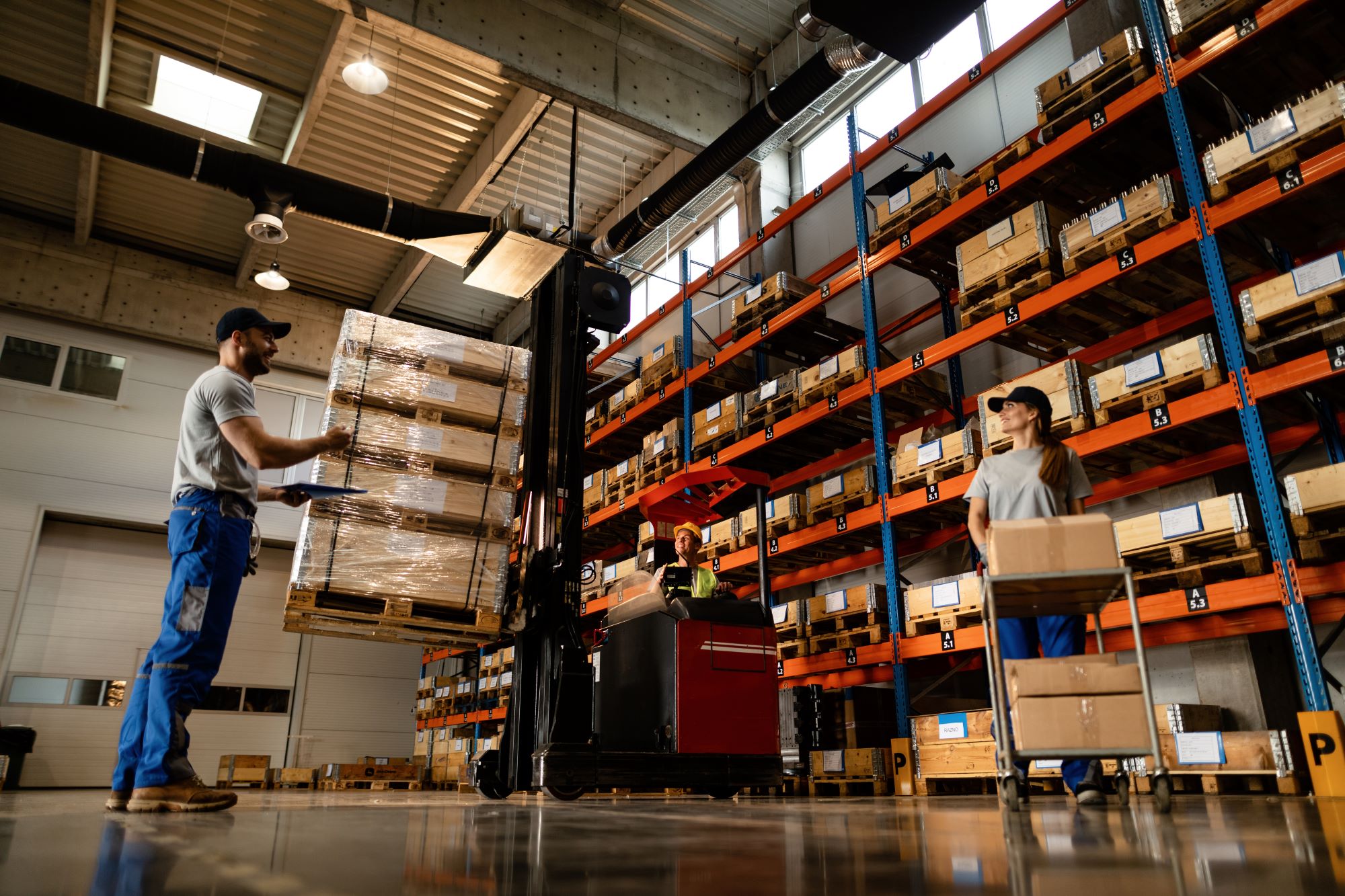 Warehouse and Logistics Management